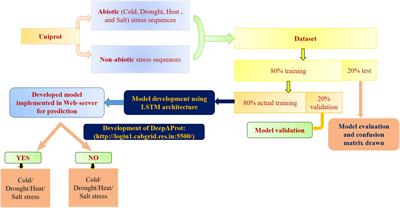 DeepAProt: Deep learning based abiotic stress protein sequence classification and identification tool in cereals